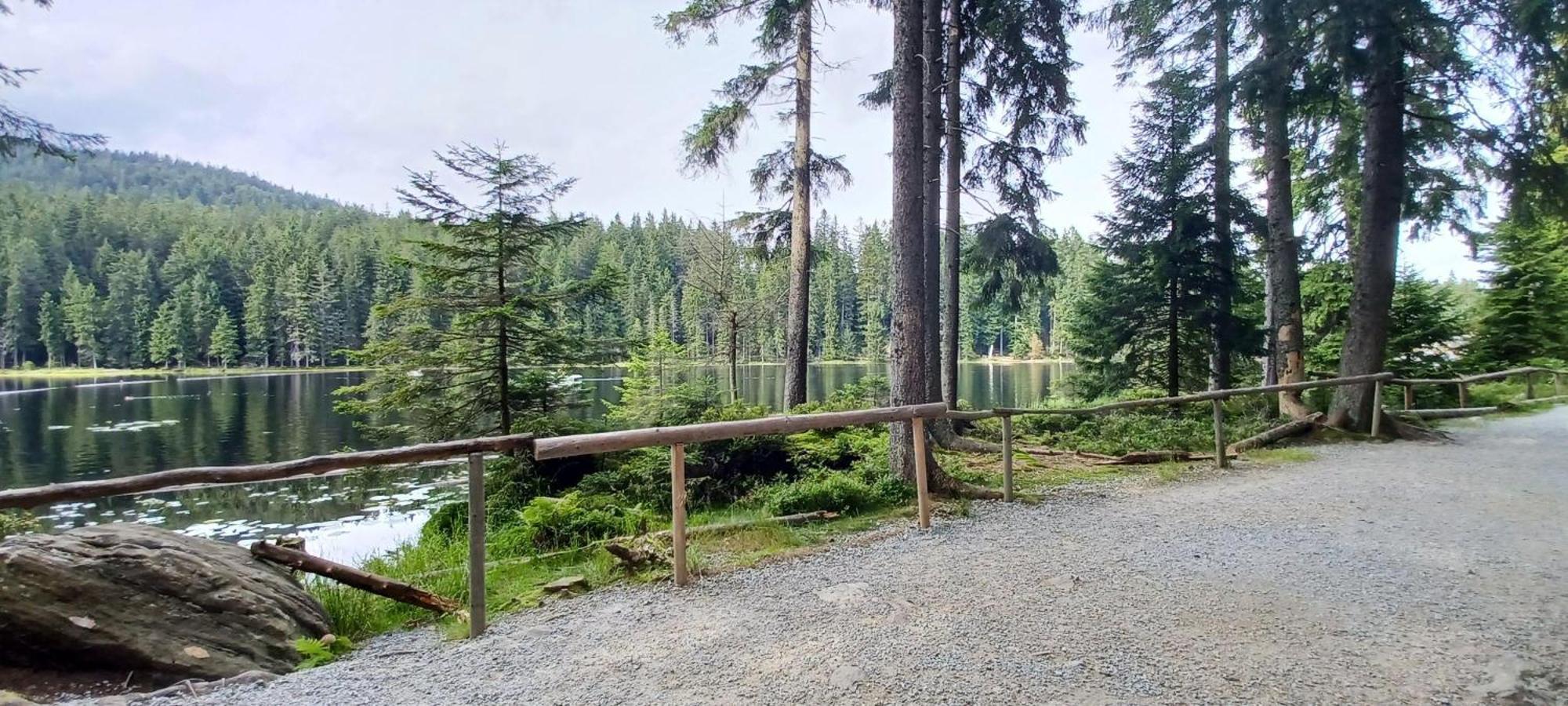 Fewo-Harlachberg-Blick-1 Bodenmais Exterior foto