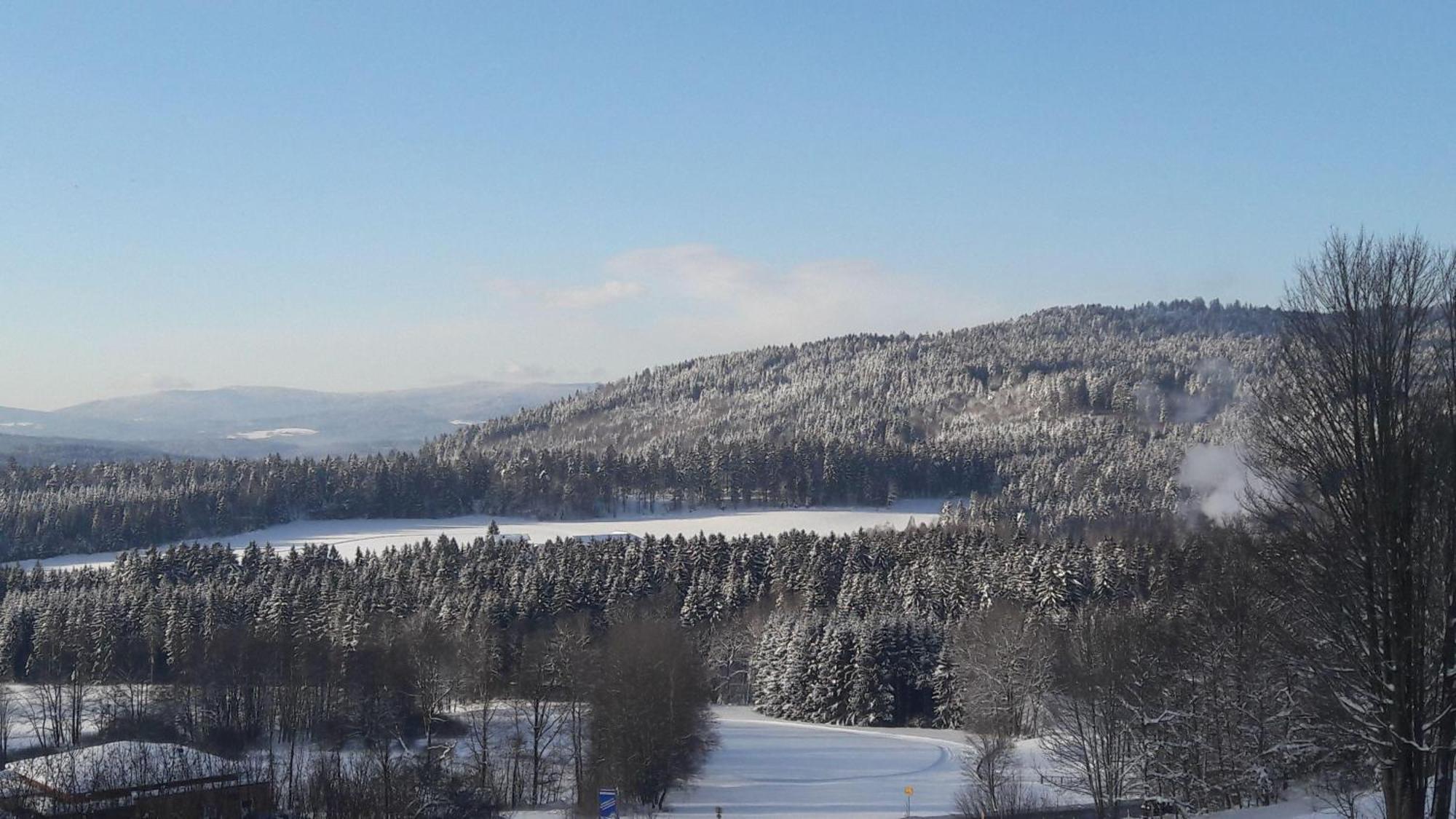 Fewo-Harlachberg-Blick-1 Bodenmais Exterior foto