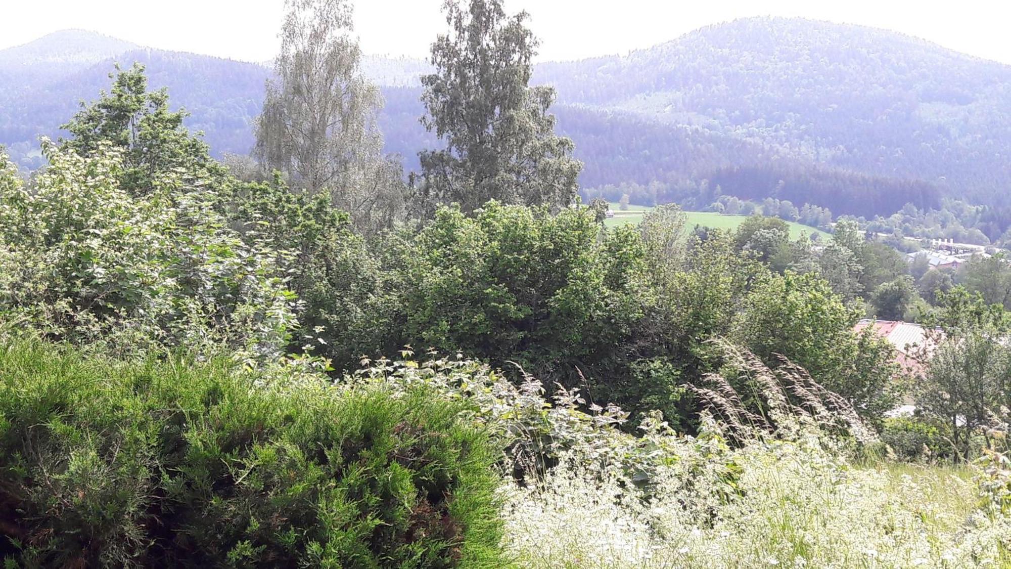 Fewo-Harlachberg-Blick-1 Bodenmais Exterior foto